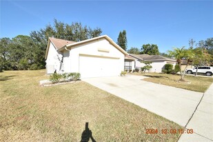 13444 Silvercreek Dr in Riverview, FL - Foto de edificio - Building Photo