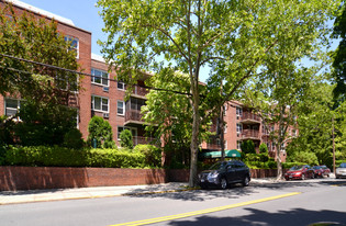 Larchmont Palmer Apartments