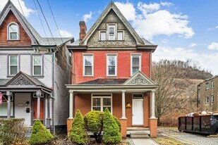 113 Wabash St in Pittsburgh, PA - Building Photo