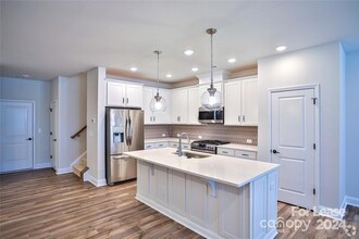 13216 Settlers Trail Ct in Charlotte, NC - Building Photo - Building Photo