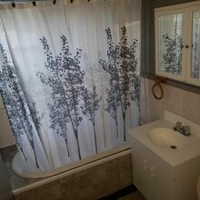 309 Mills St, Unit Lower in Buffalo, NY - Building Photo - Building Photo