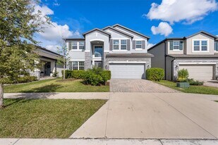 33251 Sycamore Leaf Dr in Wesley Chapel, FL - Building Photo