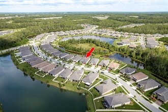17026 Shell Bay Dr in Land O Lakes, FL - Building Photo - Building Photo