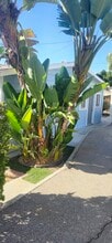 826 Orange Grove Pl in South Pasadena, CA - Building Photo - Building Photo