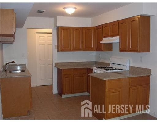 1301 Green Hollow Dr in Iselin, NJ - Building Photo - Building Photo