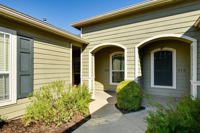 313 Essex Ln in Georgetown, TX - Building Photo - Building Photo