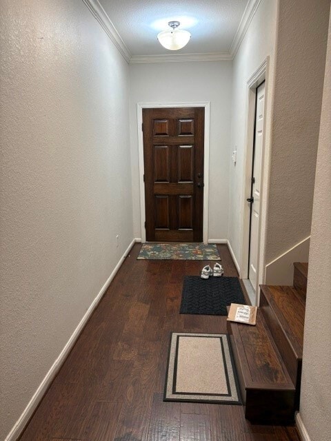 10511 Willow Park View in Houston, TX - Building Photo - Building Photo