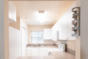 1321 SE 8th Ave in Cape Coral, FL - Building Photo