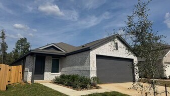 14881 N Ascot Bnd Cir in Conroe, TX - Building Photo