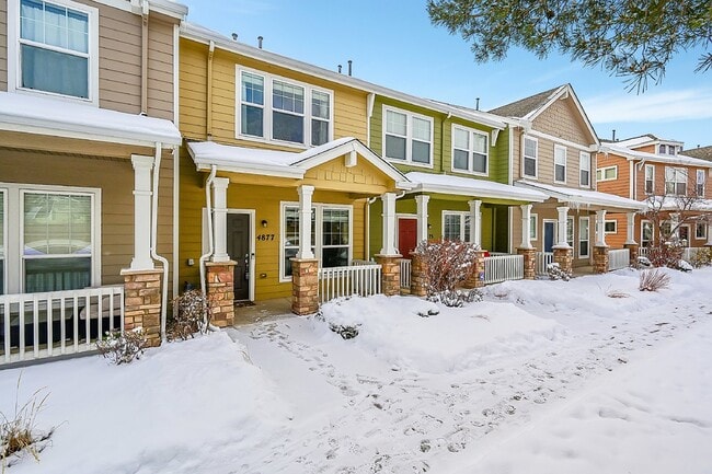 4877 Harrier Ridge Dr in Colorado Springs, CO - Building Photo - Building Photo