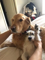 547 E Dover St in Milwaukee, WI - Building Photo