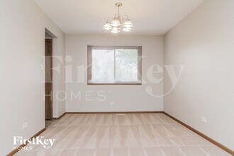 753 Willow Rd in Matteson, IL - Foto de edificio - Building Photo