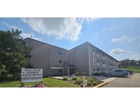 409 S Hudson Ave in Spring Valley, MN - Building Photo