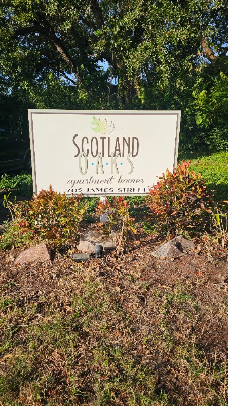 705 James St in Dunedin, FL - Foto de edificio - Building Photo