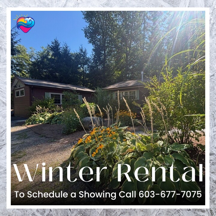 58 Patrician Shores Cir in Meredith, NH - Building Photo