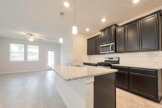17478 Buckeye Br in Shenandoah, TX - Building Photo - Building Photo