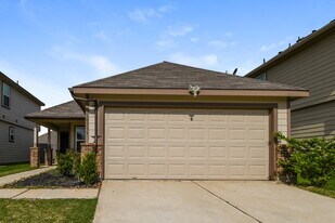 10339 Spruce Villa Trce in Houston, TX - Building Photo