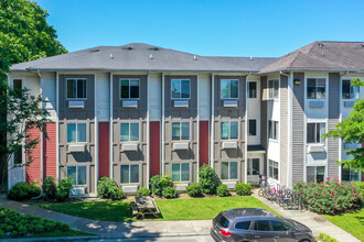 McCreesh Place in Charlotte, NC - Building Photo - Primary Photo