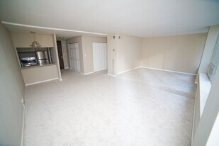 233 E Erie St in Chicago, IL - Building Photo