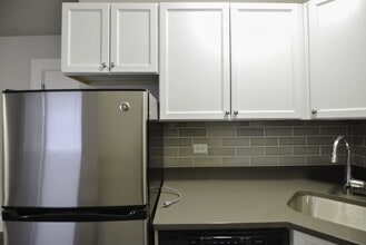 820 W Lakeside Pl, Unit A00C in Chicago, IL - Building Photo - Building Photo