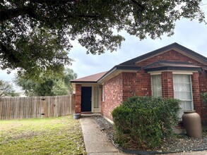 3153 Jazz St in Round Rock, TX - Building Photo - Building Photo