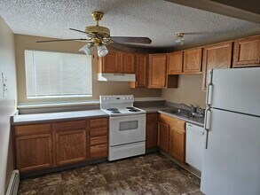 1155 Chiricahua Loop in Colorado Springs, CO - Building Photo - Building Photo