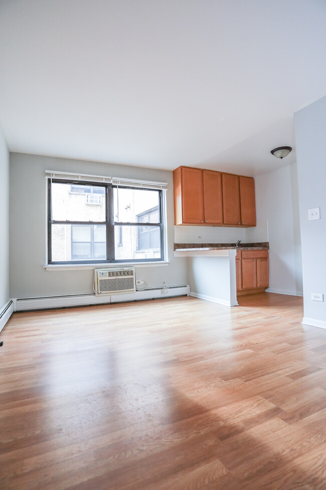 455 W Briar Pl, Unit #304