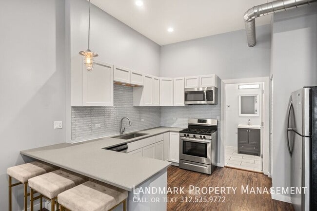 1848 S Blue Island Ave in Chicago, IL - Building Photo - Building Photo