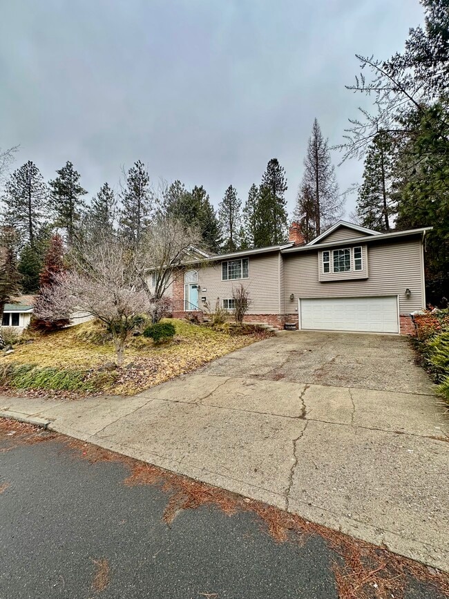property at 2816 W Dell Dr