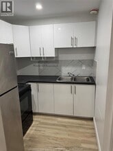 1383 Helsinki Ct in Windsor, ON - Building Photo - Building Photo