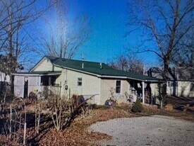 202 E South St in Mountain Grove, MO - Building Photo