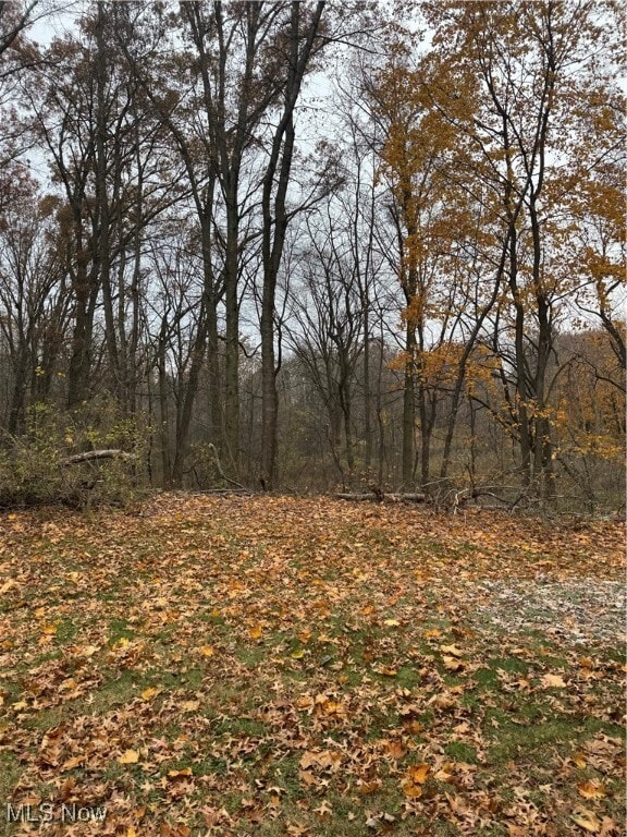 4250 S Main St in Akron, OH - Building Photo - Building Photo