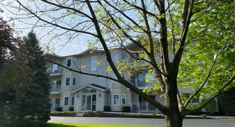 927 Elderberry Cir in Naperville, IL - Building Photo