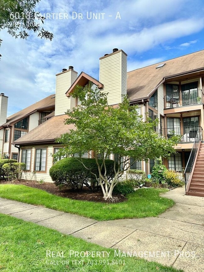 property at 6018 Curtier Dr