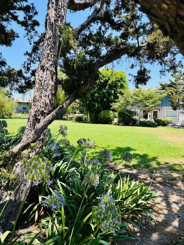 14675 Red Hill Ave in Tustin, CA - Building Photo - Building Photo