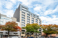 Patagonia in New York, NY - Foto de edificio - Building Photo