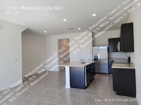 31364 Midnight Sun Wy in Wesley Chapel, FL - Foto de edificio - Building Photo