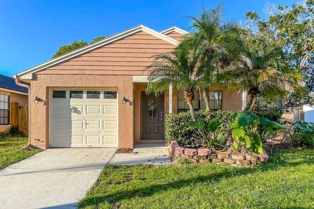 619 Bellingham Pl in Palm Harbor, FL - Building Photo