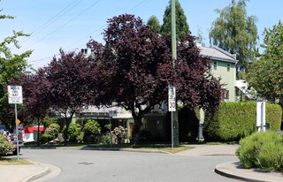 2052-2066 Cypress St in Vancouver, BC - Building Photo