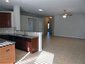 299 Clear Springs Hollow in Buda, TX - Building Photo - Building Photo