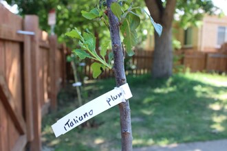 1531 Willow St in Denver, CO - Building Photo - Building Photo