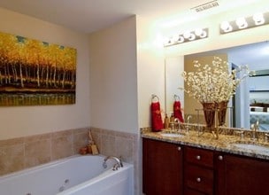 River 595 in Des Plaines, IL - Building Photo - Interior Photo
