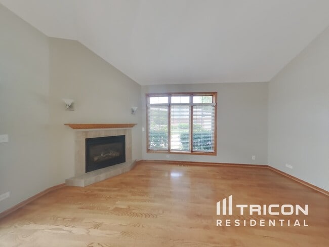 593 Prairie Crossing Dr in New Lenox, IL - Building Photo - Building Photo
