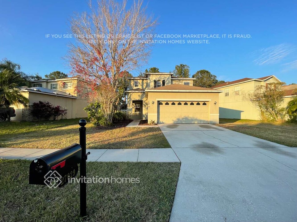 27029 Cotton Key Ln in Wesley Chapel, FL - Building Photo