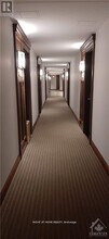238-238 Besserer St in Ottawa, ON - Building Photo - Building Photo