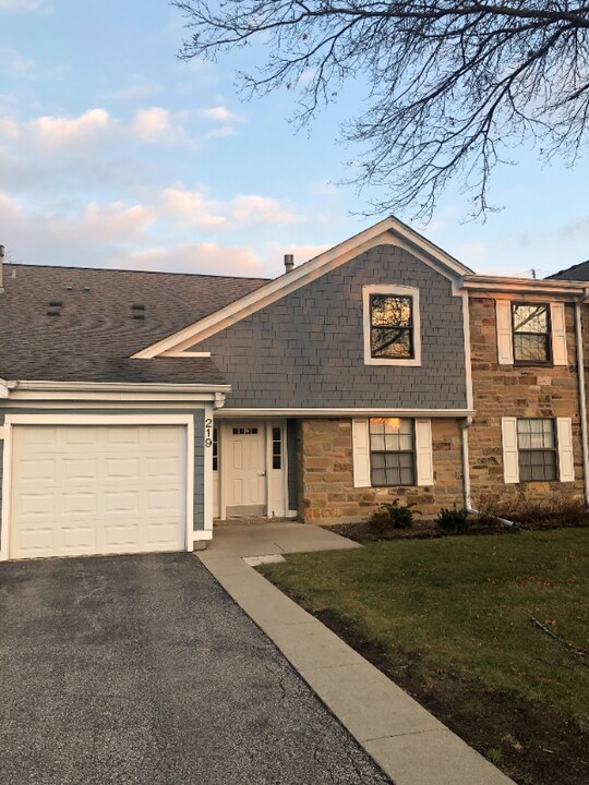 219 Hawthorne Ct in Schaumburg, IL - Building Photo