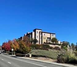 1379 Cattail Ct in San Marcos, CA - Building Photo - Building Photo