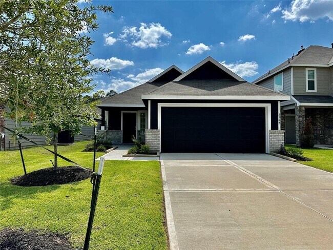 2362 Tavo Trails Dr in Conroe, TX - Building Photo - Building Photo