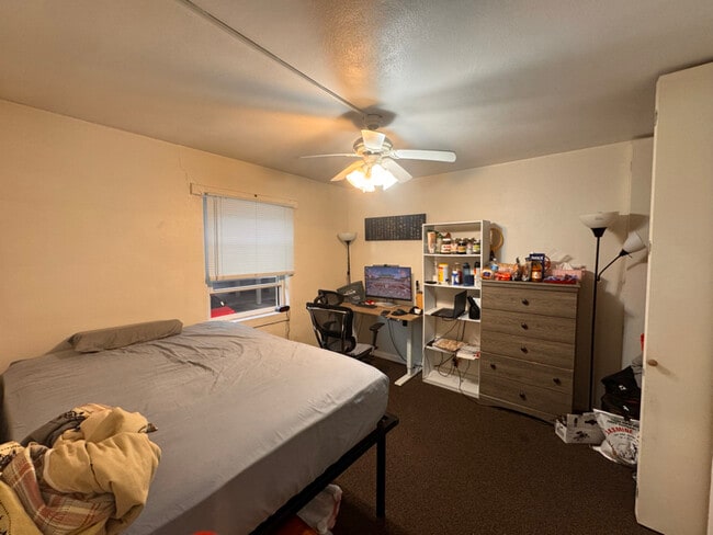 102 N Lincoln Ave in Urbana, IL - Building Photo - Building Photo