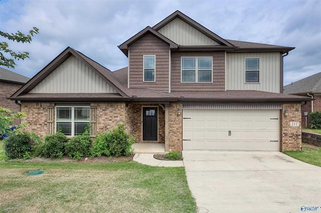 property at 217 Maggie Mance Ln
